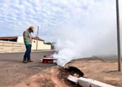 ATENÇÃO BRASILÂNDIA, ALTO RISCO DE MOSQUTO AEDES AEGYPTI, POPULAÇÃO DEVE INTENSIFICAR ELIMINAÇÃO DE CRIADOUROS
