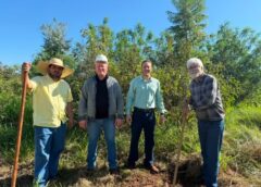 BRASILÃNDIA RETOMA MULTIRÃO AMBIENTAL PARA SALVAR NASCENTE DO CÓRREGO DA AVIAÇÃO
