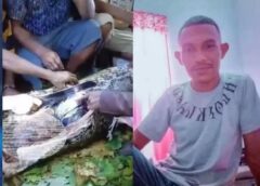 HOMEM É DEVORADO VIVO POR COBRA PITON NA INDONÉSIA.