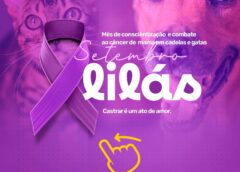 SETEMBRO LILÁS | PREVENÇÃO TAMBÉM É UM ATO DE AMOR